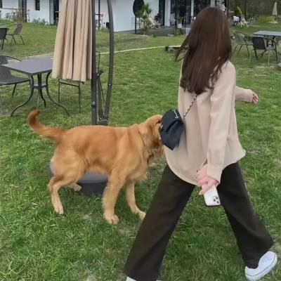 江湖流浪女